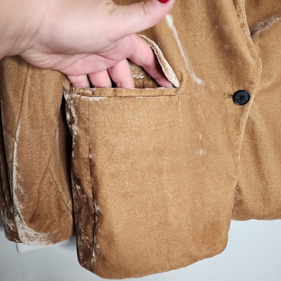 Banana Republic Velvet Warm Carmel Brown Tan Golden Single Button Blazer Size 6 - Picture 9 of 16